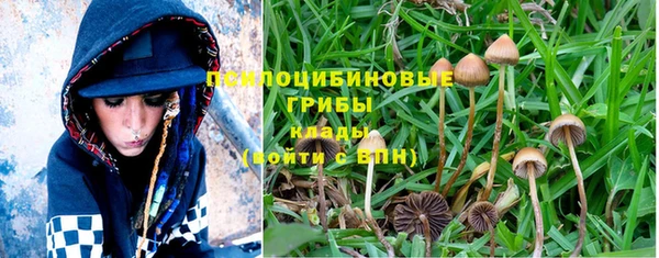 PSILOCYBIN Арсеньев
