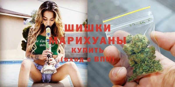 PSILOCYBIN Арсеньев