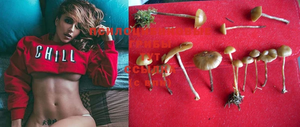 MDMA Аркадак